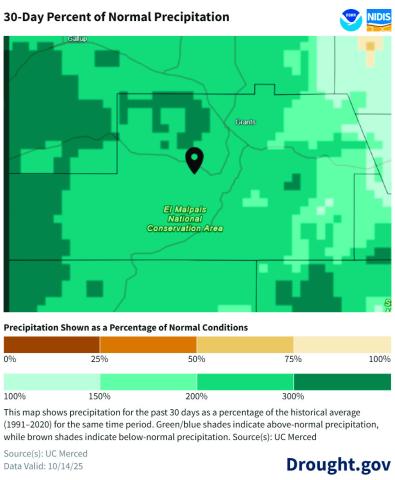 Rainfall over the past month has far exceeded typical levels across Cibola County, with most areas receiving between 150 percent and 300 percent of normal precipitation. Data from UC Merced/Drought.gov. Data valid Oct. 14, 2025, data accessed Oct. 17. Diego Lopez - CC