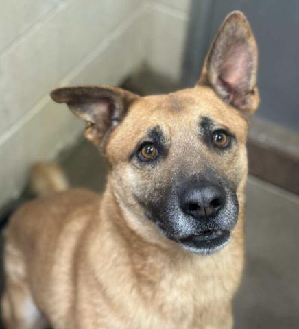 GrantsAnimal Care Center 722 Sakelares Boulevard