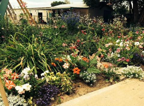 Fall is for Planting