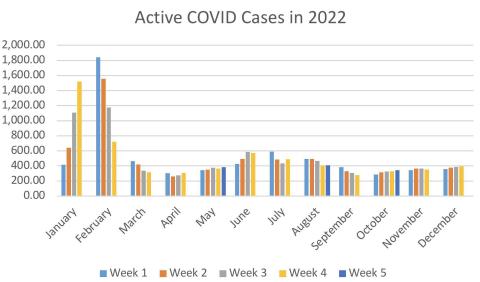 COVID-19 in Cibola Through December