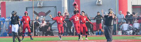 Pirate Baseball District Champions