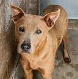 GrantsAnimal Care Center 722 Sakelares Boulevard