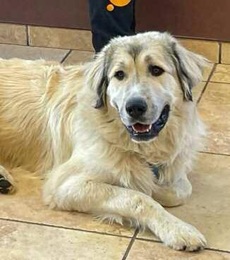 Grants Animal Care Center 722 Sakelares Boulevard