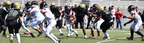 Cibola Sports