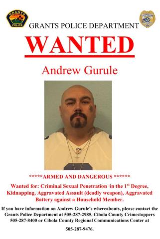 Traffic Stop Helps Find Wanted Man