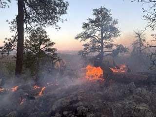 Seco Fire Extinguished on Mt. Taylor Ranger District