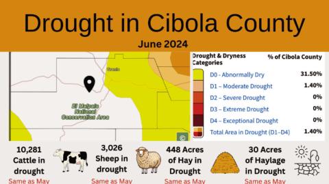 Cibola’s Drought Monitor – June