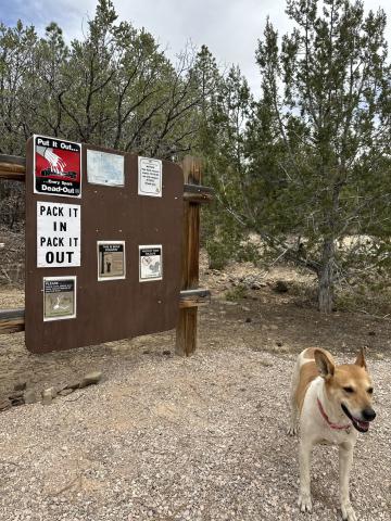MOUNT TAYLOR – Sissy Simonson journeyed to the Lobo Canyon Campground, March 15, and enjoyed the smells, remembering to pack out the trash she brought with her and to keep the environment the way she found it. Courtesy photo
