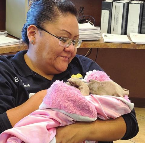 Animal Care Clinic cares about pets