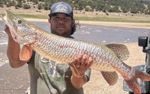 Cibola Fishing Report – June 9 - June 154