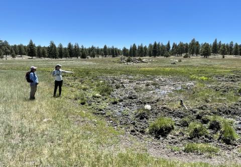 ShushKin_Biologists: US Forest Service photo: Mount Taylor Ranger District – Shush Kin Fen – (Wildlife biologists assessing the extent and severity of erosion in Shush Kin Fen and planning for restoration.) – 2023 Courtesy Photo
