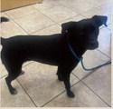 GrantsAnimal Care Center 722 Sakelares Boulevard