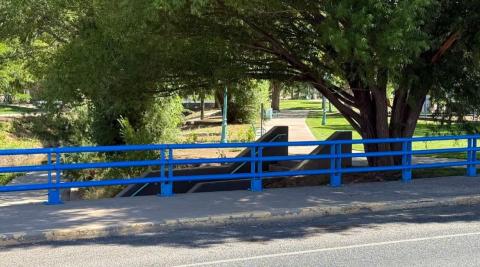 Student Volunteers Join Grants MainStreet Effort to Freshen Up Riverwalk Park