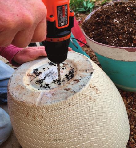 Adequate drainage in a growing container is a much bigger deal than many new gardeners realize. Marisa Thompson courtesy photo