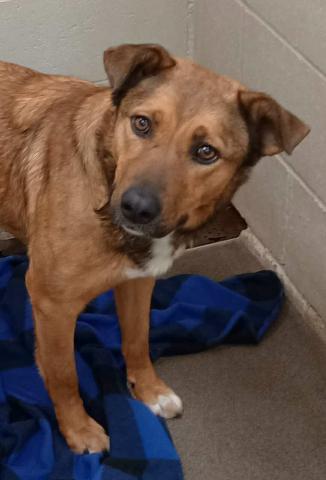 GrantsAnimal Care Center 722 Sakelares Boulevard
