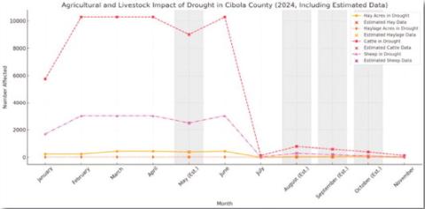 This graph illustrates the impact of drought on agriculture and livestock in Cibola County throughout 2024, highlighting key trends in hay, haylage, cattle, and sheep affected by dry conditions. Months with estimated data—May, August, September, and October—are marked with shaded areas and distinct points, reflecting projections based on trends from surrounding months. Data from December is not yet available.