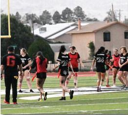 Powder Puff