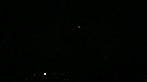 Super Flower Blood Moon