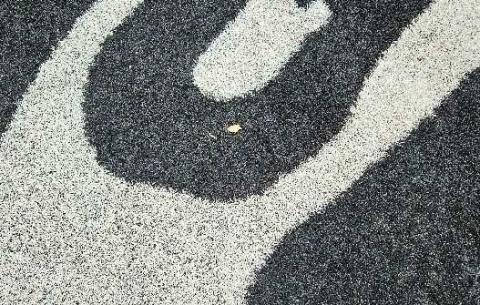 Tiny Pieces of Supposed Fireworks litter the Grants High School Football Field Arieanna Crowson CC