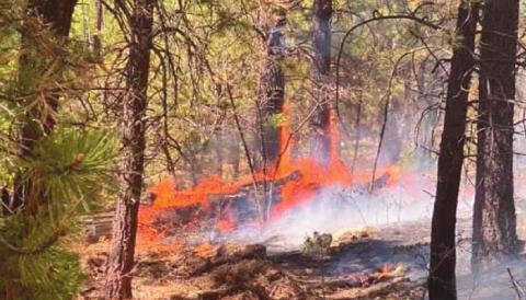 Fire on Mount Taylor near Gooseberry Springs