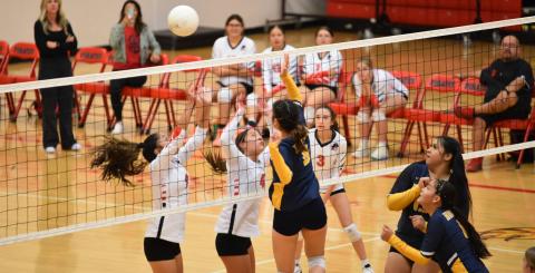 Pirate Volleyball Up-Date