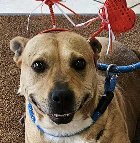 GrantsAnimal Care Center 722 Sakelares Boulevard