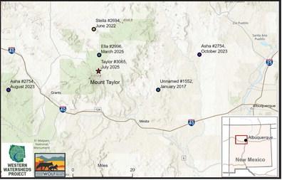 Courtesy of Western Watersheds Project and Grand Canyon Wolf Recovery Project