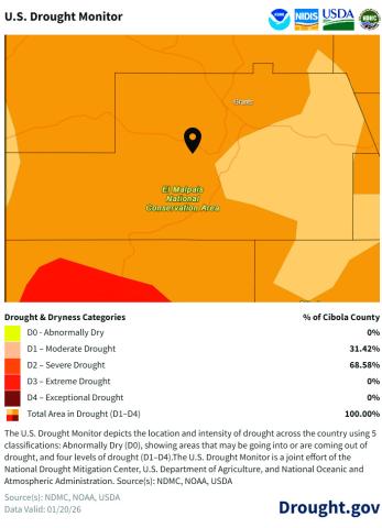 Drought persists across Cibola County. The U.S. Drought Monitor map valid Jan. 20 shows 100% of Cibola County in drought, with 68.58% classified as Severe Drought (D2) and 31.42% in Moderate Drought (D1). Much of the Grants and El Malpais area remains in D2, reflecting a winter season that has improved snowpack in the Zuni Mountains but has not yet translated into broader recharge for local water supplies. Source: Drought.gov/U.S. Drought Monitor